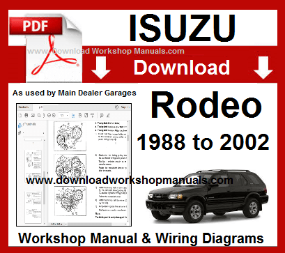 Wiring Diagram PDF: 2002 Isuzu Rodeo Radio Wiring